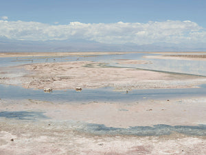 Laguna de Chaxa – San Pedro de Atacama, Chile