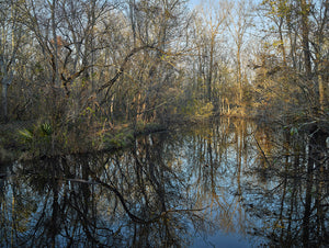 Kunstfotografie: Atchafalaya Swamp Sunset – Louisiana