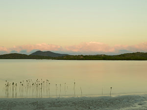 Peaceful Lagoon Morning – New Caledonia