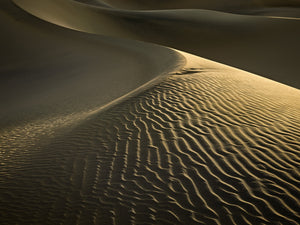Rippled Dunes at Low Sun – Mesquite Dunes, Death Valley