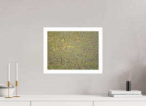 40 x 30 cm, OEFAP Canson Baryt Floating Leaves – Freilichtmuseum Großgmain, Salzburg