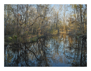 Main image Atchafalaya Swamp Sunset | Louisiana