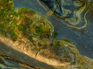 Tidal Formations, Bildausschnitt