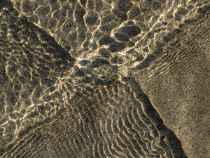 Tidal Lines, Bldausschnitt