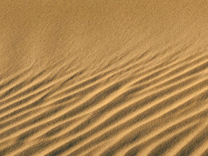 Golden Waves – Sand Dunes, Death Valley