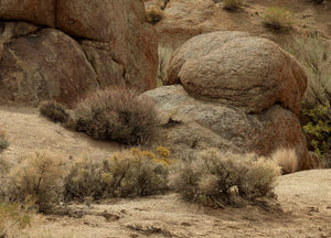 Desert Rocks and Mountain Range – Alabama Hills
