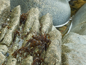 Tidal Patterns – Coastal Rocks at Horgabost, Isle of Harris