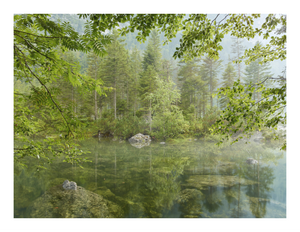 Main image Mittlerer Gosausee | Gosau, Salzkammergut, Österreich