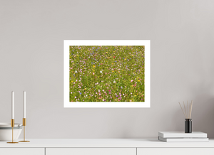 Meadow – Château de Montsoreau, France